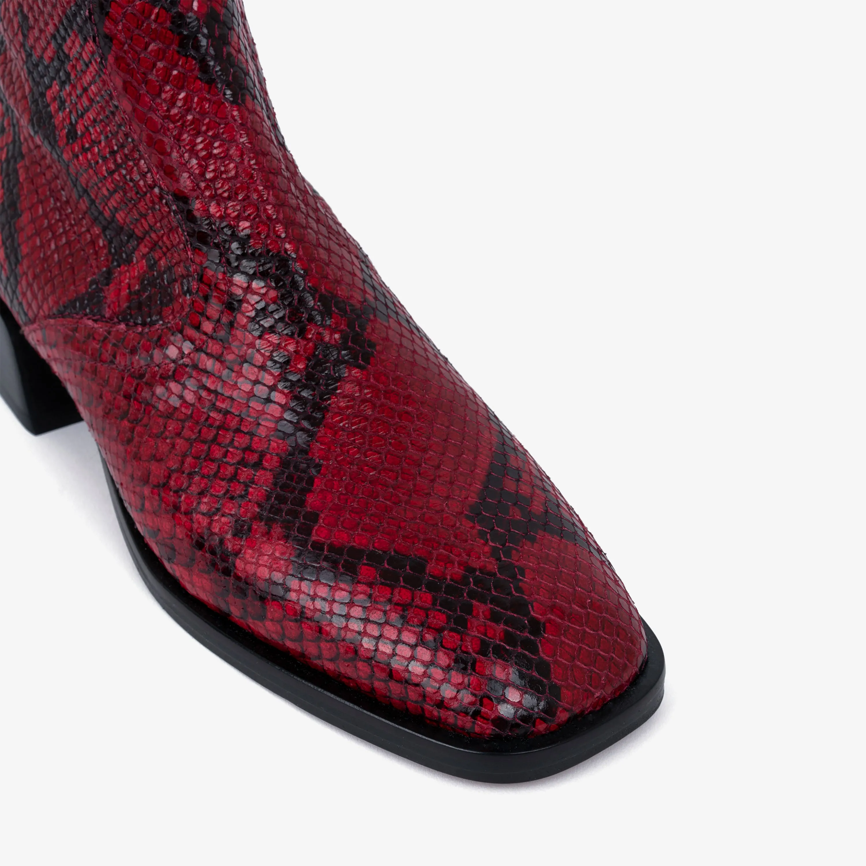 Caro Red Python