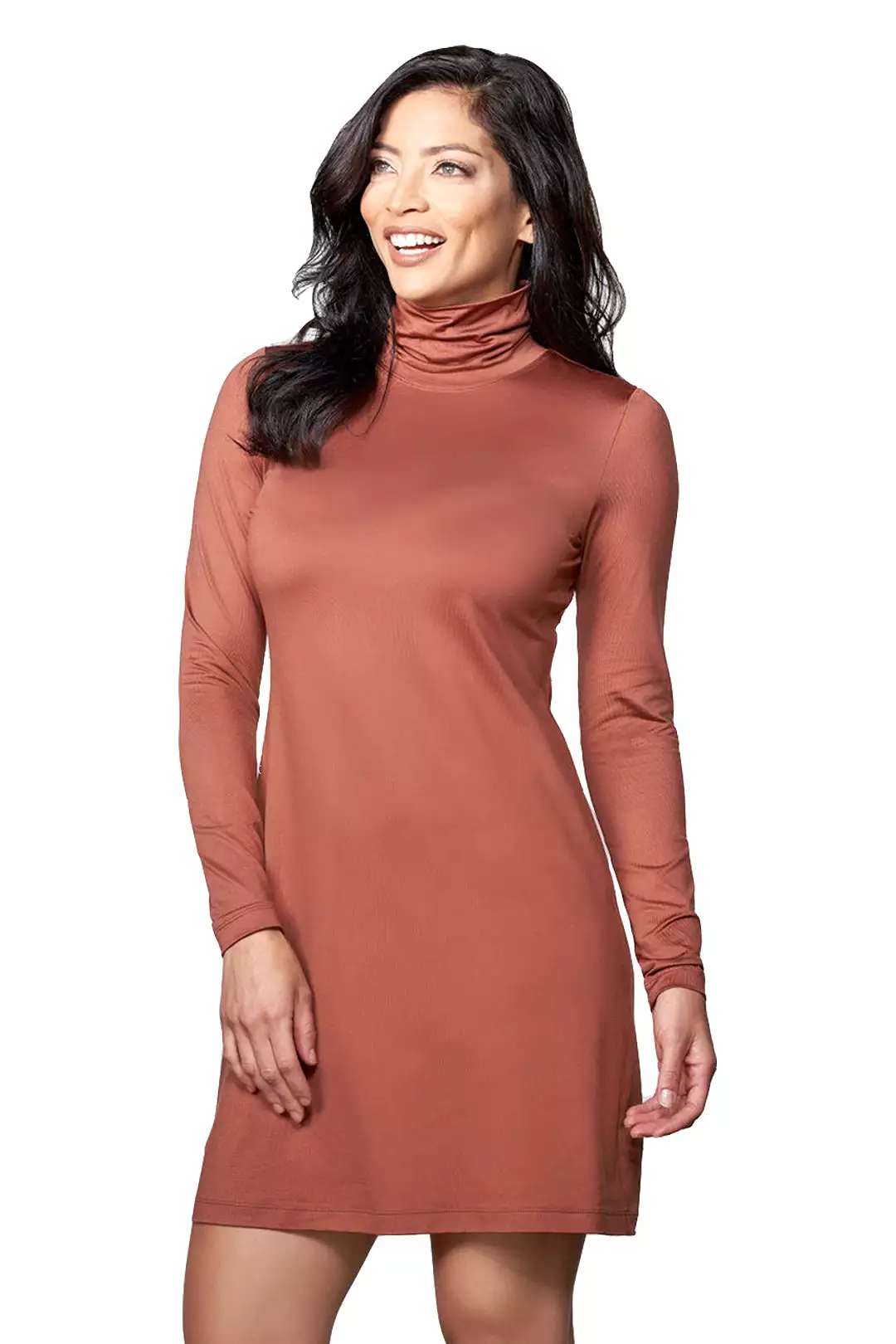 LIMITED COLORS: The Turtleneck Dress