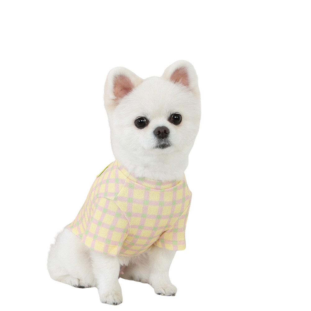 R logo Dogs Clothes Checked patterned Casual Cute Comfortable Clothing Sweaters Korean Designers Apparel Outfits Pastel Colours 