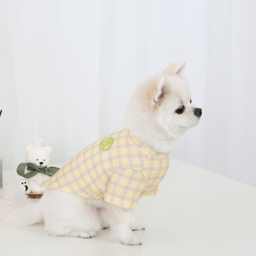 R logo Dogs Clothes Checked patterned Casual Cute Comfortable Clothing Sweaters Korean Designers Apparel Outfits Pastel Colours 