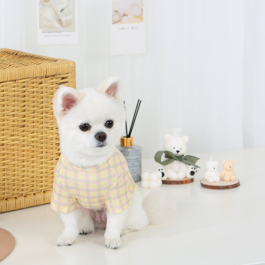 R logo Dogs Clothes Checked patterned Casual Cute Comfortable Clothing Sweaters Korean Designers Apparel Outfits Pastel Colours 